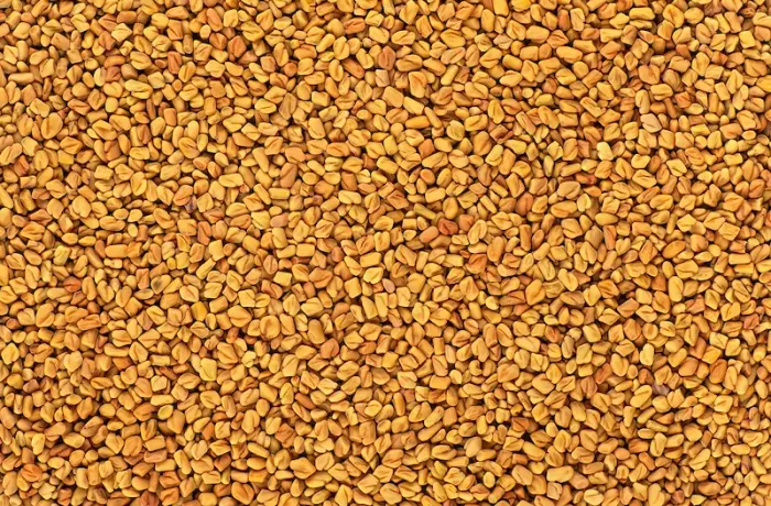 Fenugreek Seeds: Incredible Health & Beauty Benefits